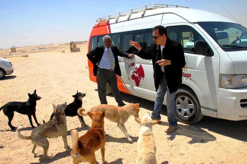 Ahmed feeding the stray dogs at Sakarra